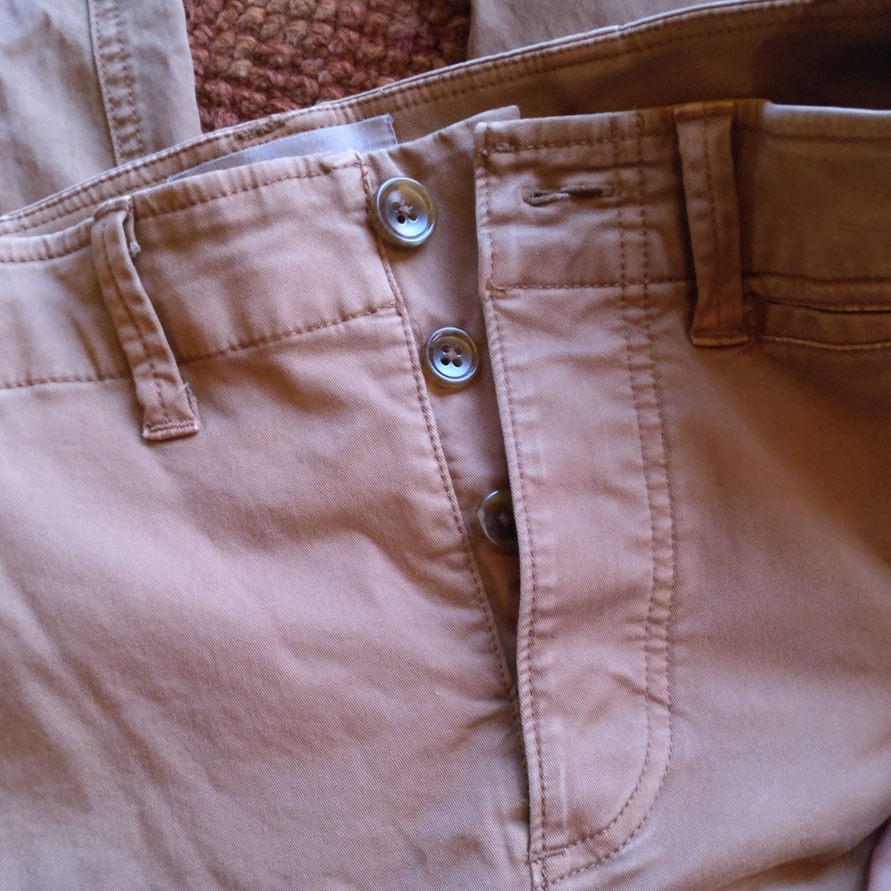 Everlane Pant business/ casual/ workwear